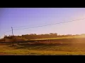ZAMBA PARA NO MORIR  HERNÁN FIGUEROA REYES (Nell van Kooten)