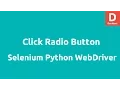 Python Selenium Click Radio Button