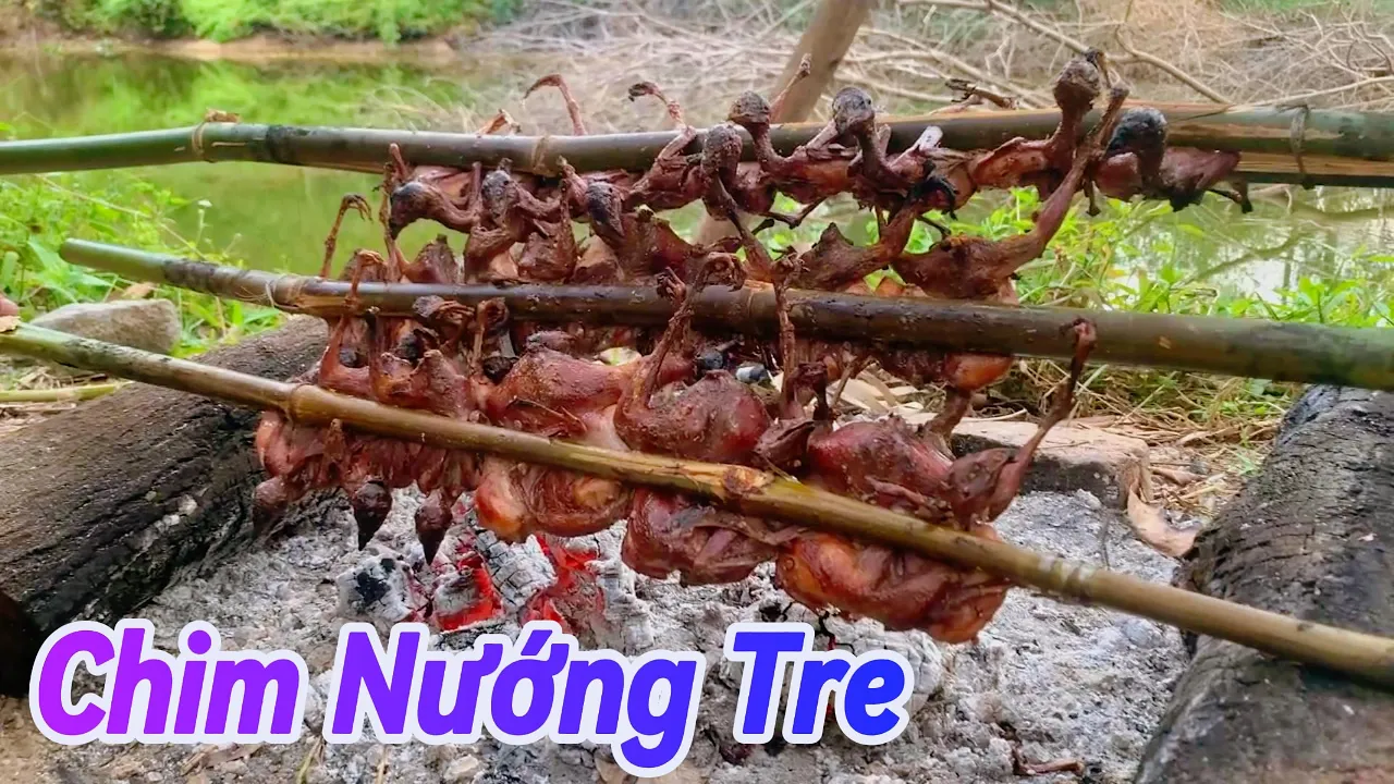 Outline Video Chim Nướng Tre Trên Núi Cạnh Hồ Nước - Bắc Ninh Ẩm Thực.