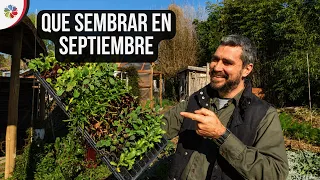 🌱 Qué SEMBRAR en SEPTIEMBRE ⚠️ CUIDADO con el NIÑO