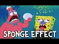 SpongeBob s Childhood Impact Explained