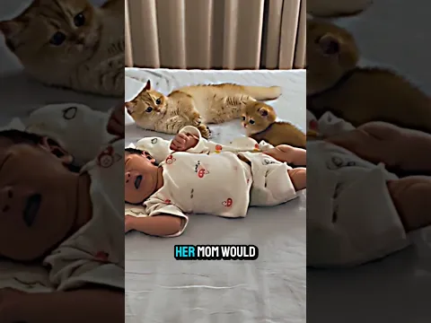 Papa ne diya sabse pyara gift! 🥺 Mini Kitten vs Baby Cuteness Overload! #shorts