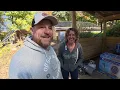 I Don't Think This Has EVER Been Done Before?! - Mini Split in The Off Grid Greenhouse!
