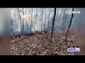 Maine Forest Rangers battling wildfire in Aroostook County