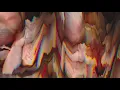 Heimreise - Matthew Dekay