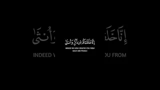 يا أيها الناس إنا خلقناكم من ذكر وأنثى    سورة الحجرات   كروم سوداء للتصميم    القارئ ماهر المعيقلي دندنها