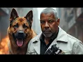 Download Lagu Denzel Washington | Newly Action Movie 2025  Full  movie 4K Ultra | #action bftt