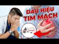 Download Lagu 6 Dấu Hiệu Của Bệnh Tim Mạch Cần Đưa Vào Viện | Dr Ngọc