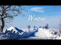 Download Lagu Волшебная музыка зимы. Падал снег! Одна из самых красивых,волшебных зимних мелодий! ЗИМА,СНЕГ.ЛЮБОВЬ