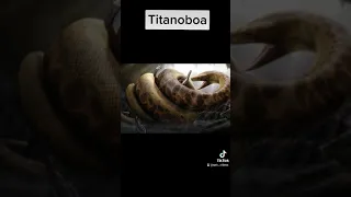 Animals That Scientists Trying To Bring Back NOT A GOOD IDEA Short Epicvideo 