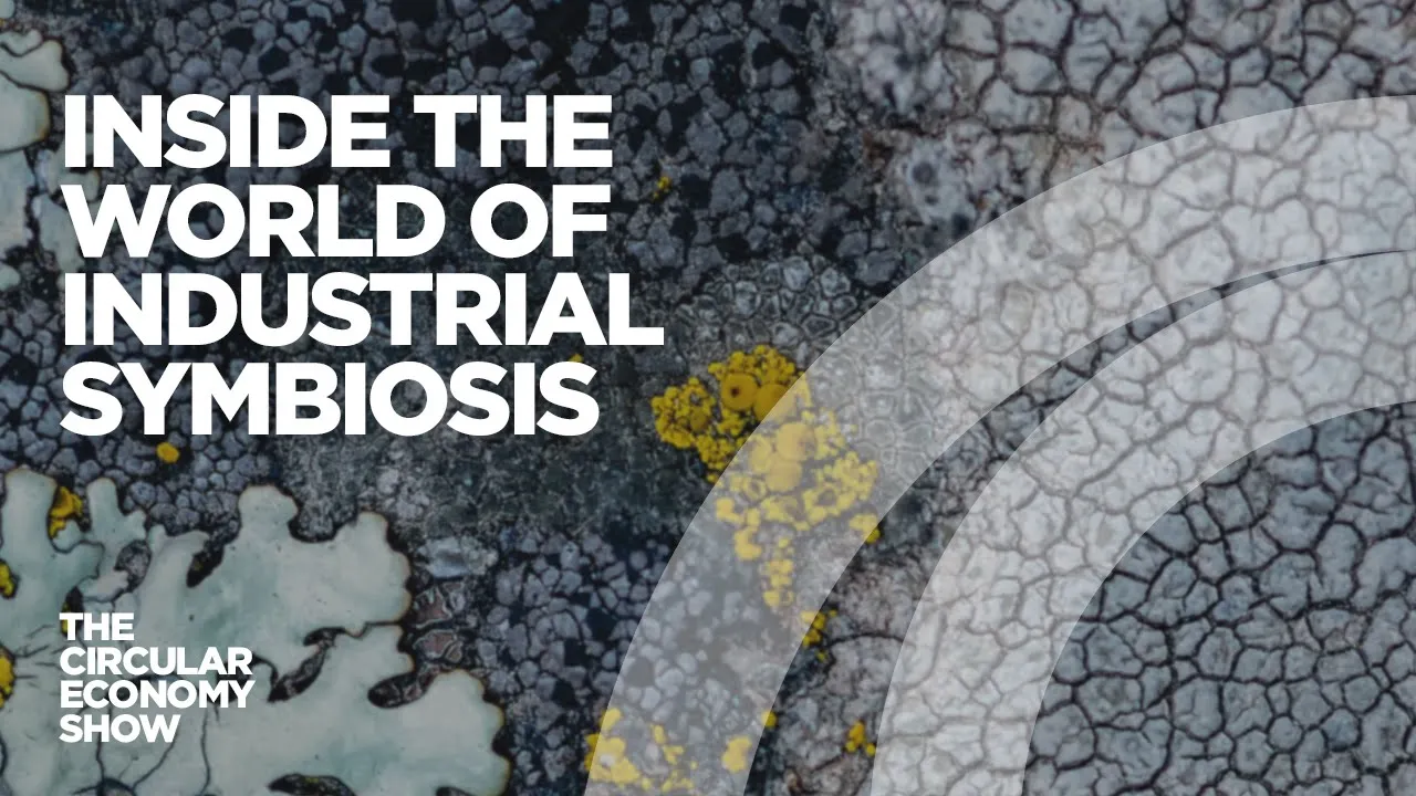 Inside the world of industrial symbiosis | The origins of the circular economy