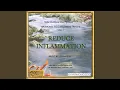 Reduce Inflammation Harmonic Egg Wellness Tracks Vol I