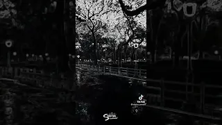 انتي مين يطولك دا انتي العاليه لفوق اجمل حلات واتس محمد منير 