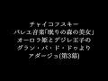 チャイコフスキー: バレエ音楽｢眠りの森の美女｣：オーロラ姫とデジレ王子のグラン・パ・ド・ドゥよりアダージョ(第3幕)［ナクソス・クラシック・キュレーション #ロマンチック］