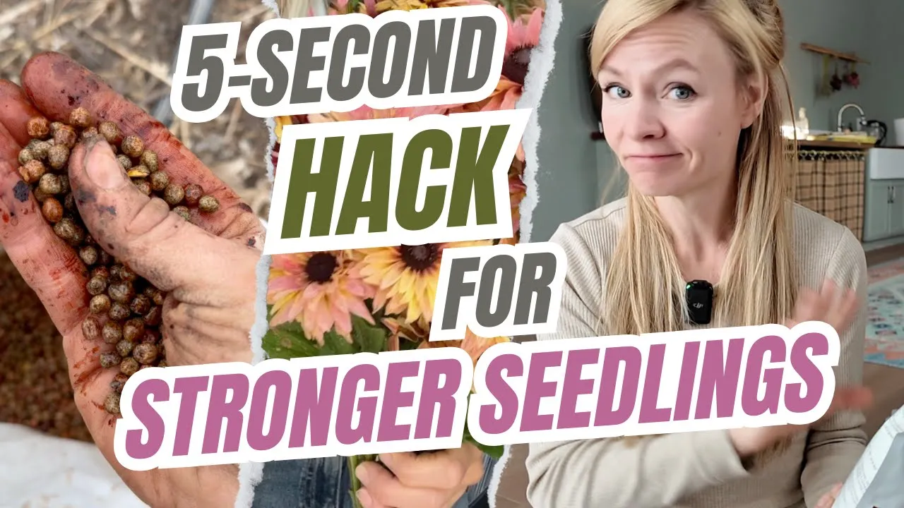 You NEED TO Inoculate Seeds Before Planting: Boost Growth & Soil Health!