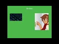 Javascript Tutorial for beginners 9 Booleans in Javascript