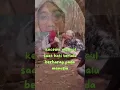 Download Lagu kecewa muncul saat hati terlalu berharap pada manusia
