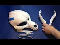Tutorial Skulldog Assembly