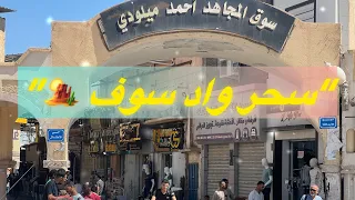 ماذا يخفي سوق واد سوف 