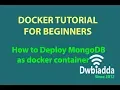 How to Deploy MongoDB as docker container Docker tutorial