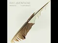 It Takes Me Back - Ray Lamontagne