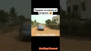 green snake pawpaw 