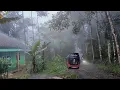 Download Lagu Makin Damai saja‼️suasana pagi berkabut di kampung super asri di lereng Gunung bikin betah