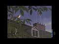 Melii-No Hard Feelings
