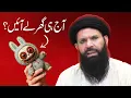 Download Lagu Labubu Doll Ek Masoom or Khubsurat Guriya