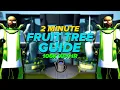 2 Minute Fruit Tree Guide OSRS