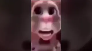 Boi What The Hell Boi 