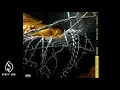 Download Lagu Post Malone Feat. Nicky Jam \u0026 Ozuna - Rockstar Latin Remix