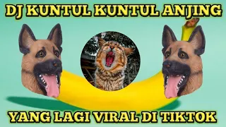 dj viral tiktok kuntul kuntul anjing terbuat dari nasi by dj deus