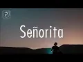 Download Lagu Shawn Mendes, Camila Cabello - Señorita (Lyrics)