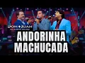 Download Lagu Don e Juan, Léo Magalhães - Andorinha Machucada (Nos Bares da Vida - Vol.2).mp4