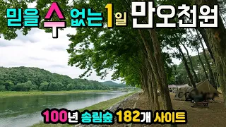 영동 송호국민관광지 캠핑장 울창한 100년 소나무 숲, 만오천원, 182개 사이트 문화체육관광부 공공 우수캠핑장, 잔디 운동장 샤워장 음수대 개수대 화장실, 와이파이, 흡연실 썸네일