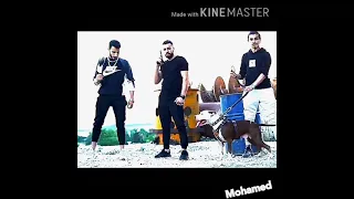 حالات واتس   مهرجان متربي في وسط حارة     دندنها