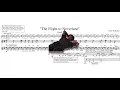 "The Flight to Neverland" by John Williams (Score Reduction and Analysis)