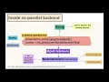 Accelerating scientific Python code with dispatching Graphs and Arrays