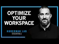 Optimizing Workspace for Productivity Focus Creativity Huberman Lab Essentials