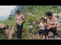 Download Lagu The mother went to see the goats and picked up her child from school to cook a meal with fern.