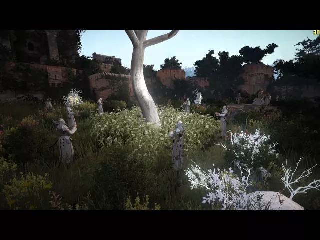 Black Desert Online ULTRA HIGH Graphics Setting FPS Counter