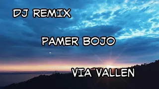 Download DJ PAMER BOJO VIA VALLEN REMIX SLOW 2019 MP3