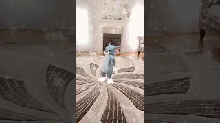 Dancing With Coco Jambo Funny Shorts 