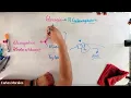 Channel