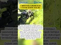 Download Lagu 2 Sniper Rusia Hancurkan UAV \u0026 Tentara Ukraina Sekaligus