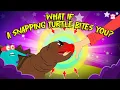 Dangerous Encounters What if a Snapping Turtle Bites You Alligator Snapping Turtle Bite Force