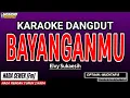 Download Lagu BAYANGANMU KARAOKE DANGDUT - ELVY SUKAESIH