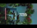 UP | Official Lyric Video | Life.Church Switch