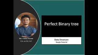 Perfect Binary Tree Data Structure Bangla Tutorial